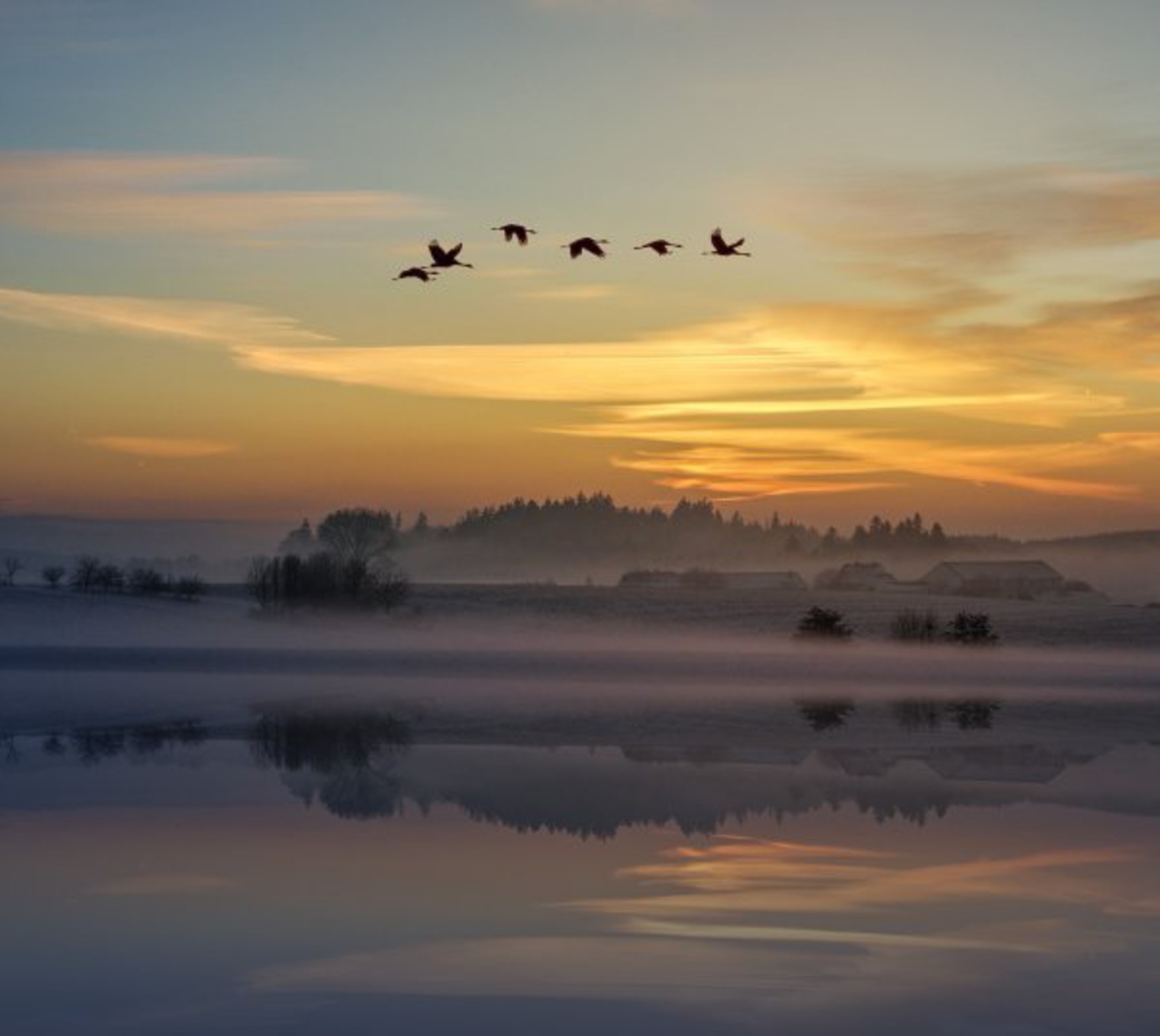 Six oiseaux migrateurs volant au dessus d'un paysage enneigé sur un fond de soleil couchant